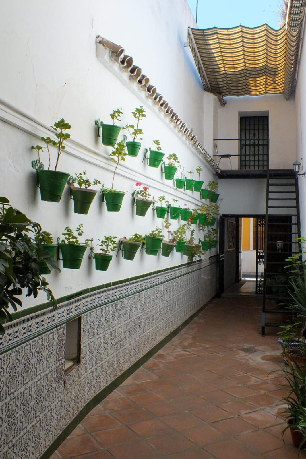 Hotel El Patio Cordobés Cordova Esterno foto