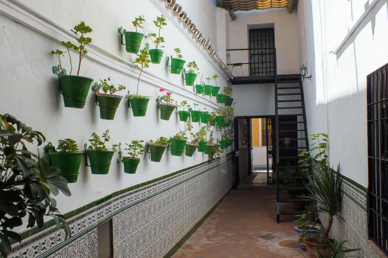 Hotel El Patio Cordobés Cordova Esterno foto