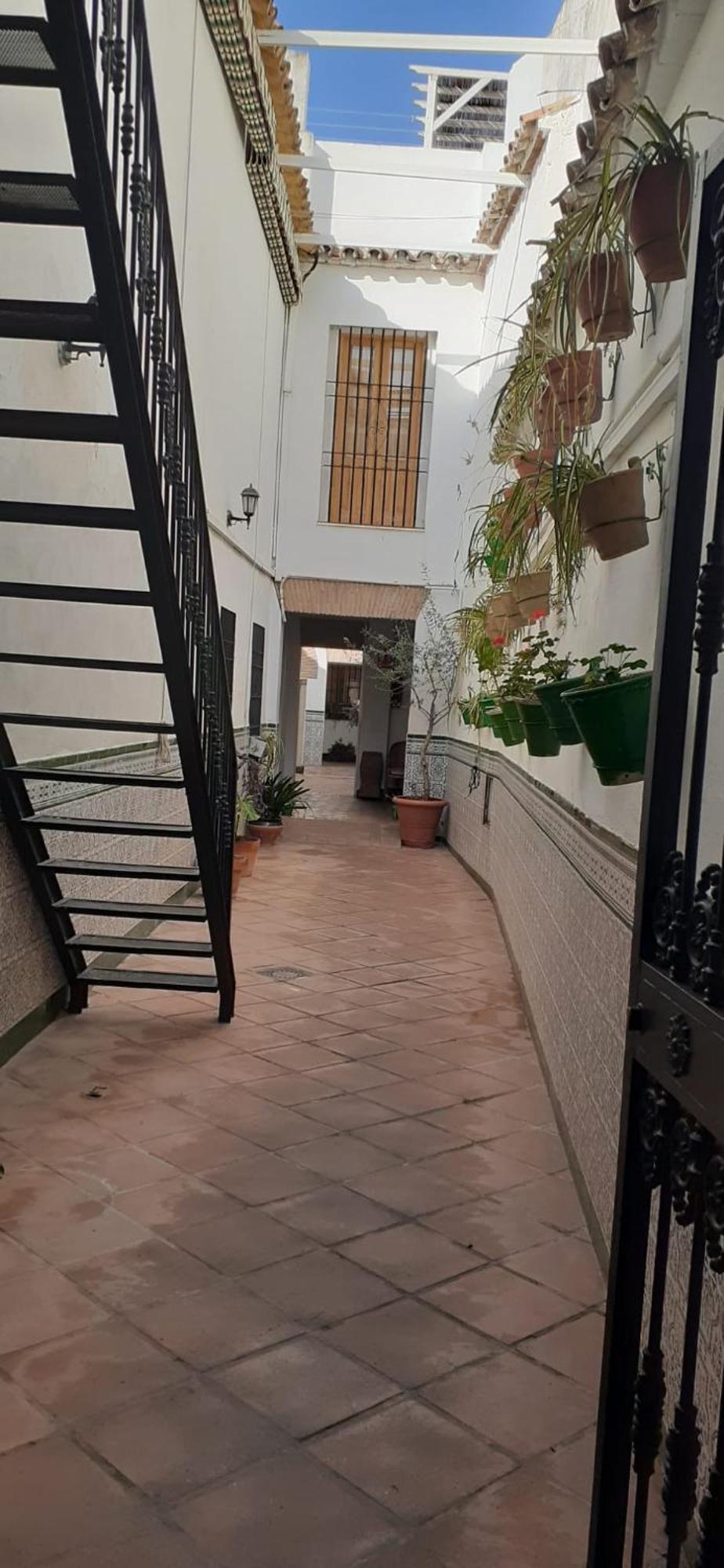 Hotel El Patio Cordobés Cordova Esterno foto