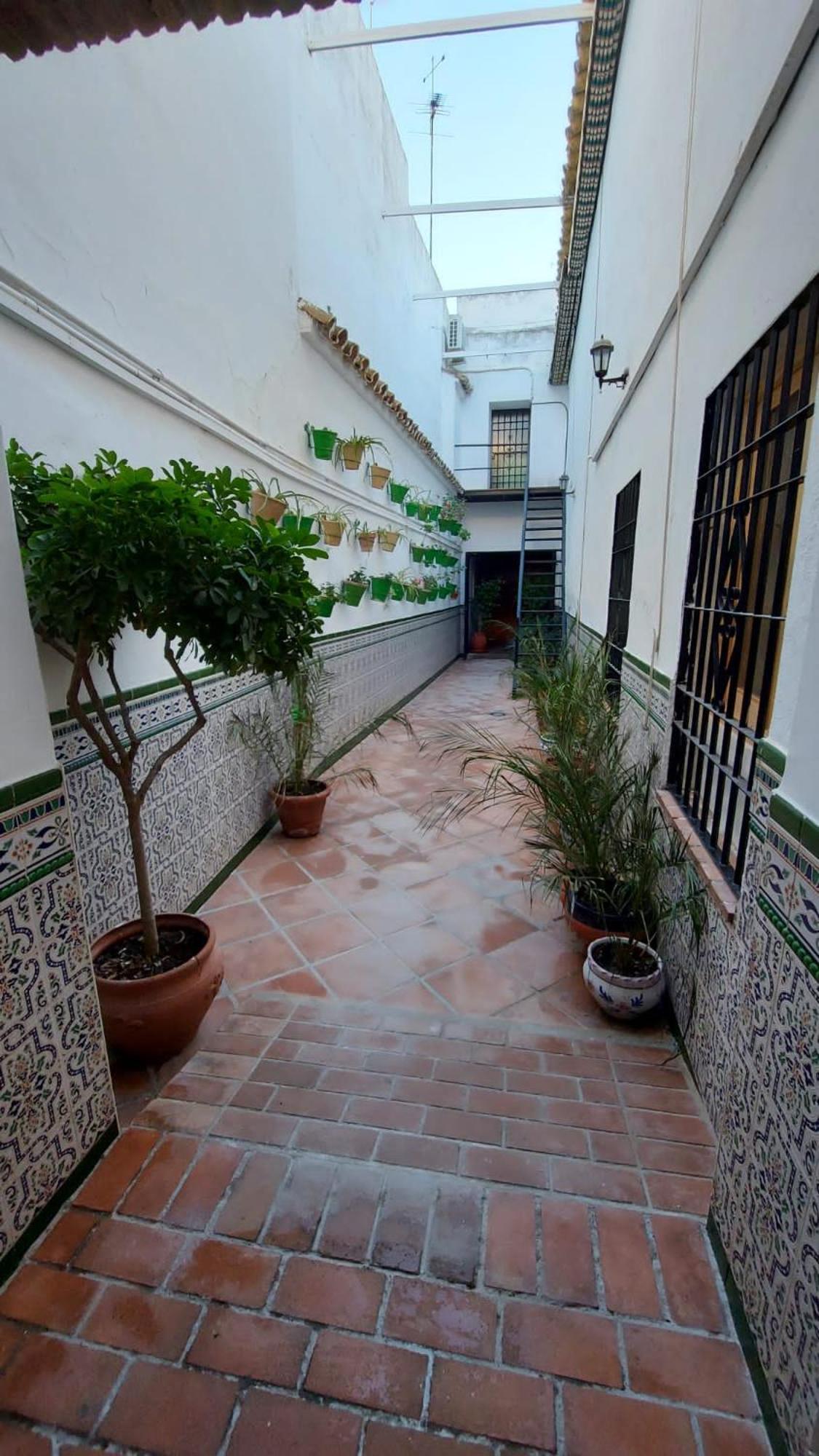 Hotel El Patio Cordobés Cordova Esterno foto