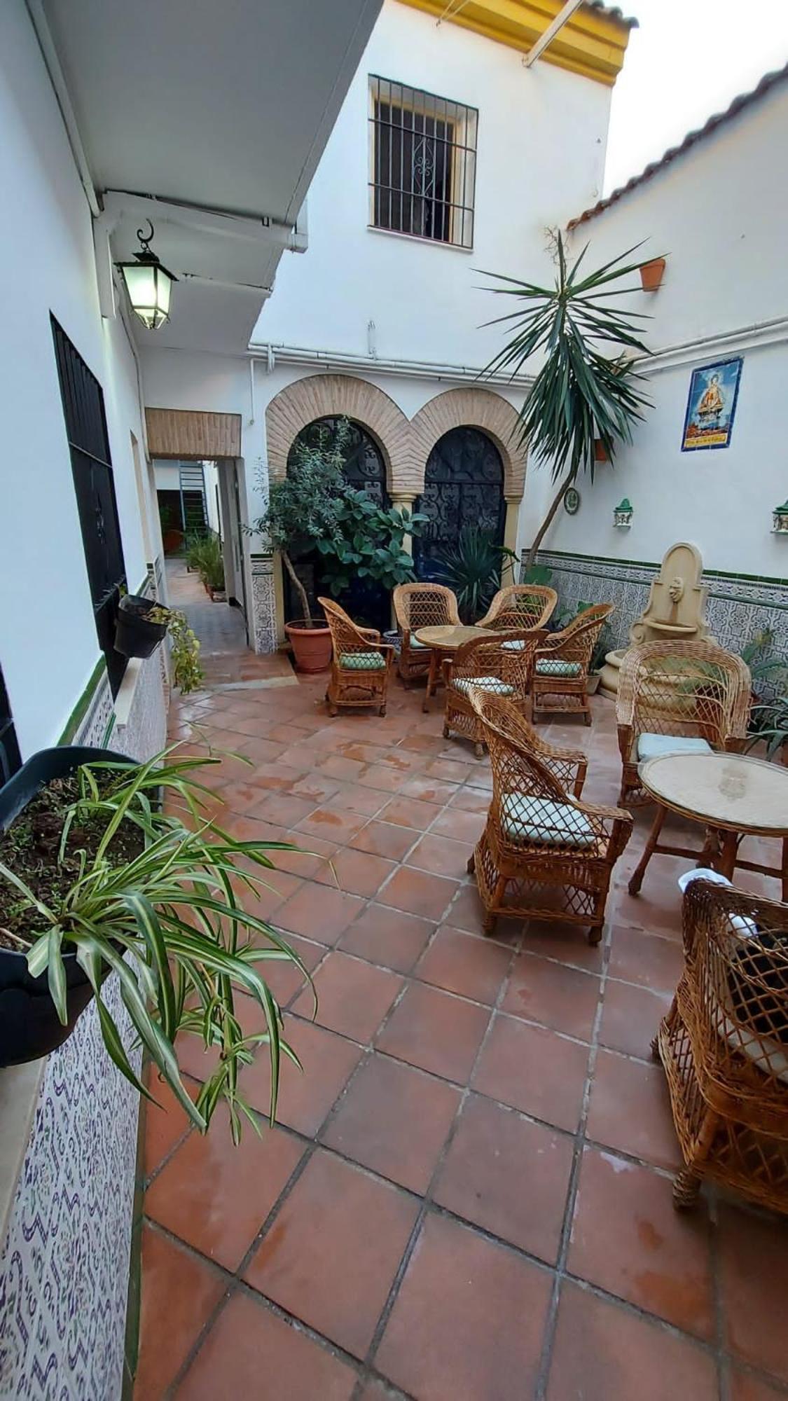 Hotel El Patio Cordobés Cordova Esterno foto
