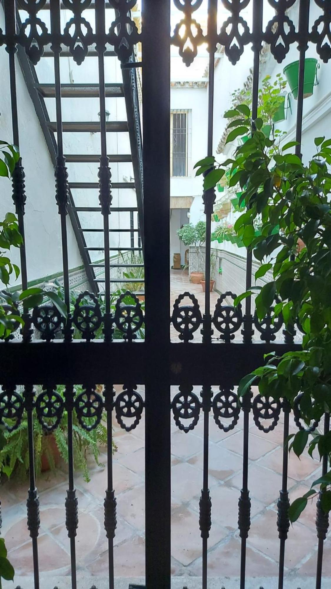 Hotel El Patio Cordobés Cordova Esterno foto